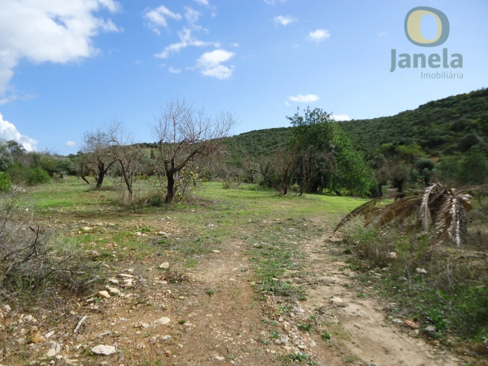 Terreno para Venda em Santa Barbara de Nexe Foto 2