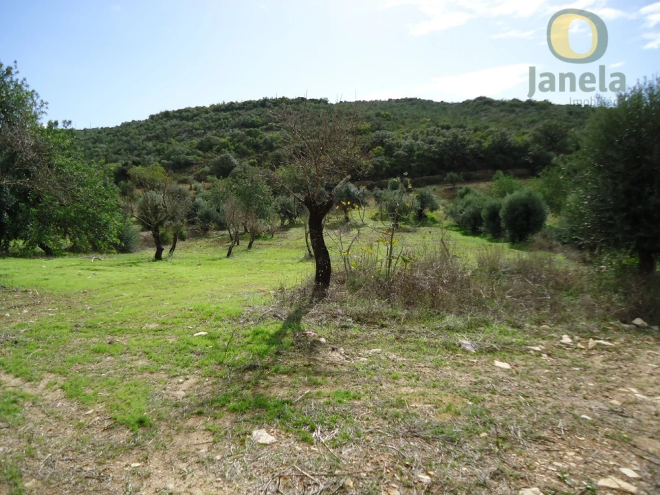 Terreno para Venda em Santa Barbara de Nexe Foto 3