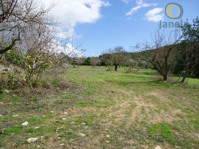 Terreno para Venda em Santa Barbara de Nexe Foto 1