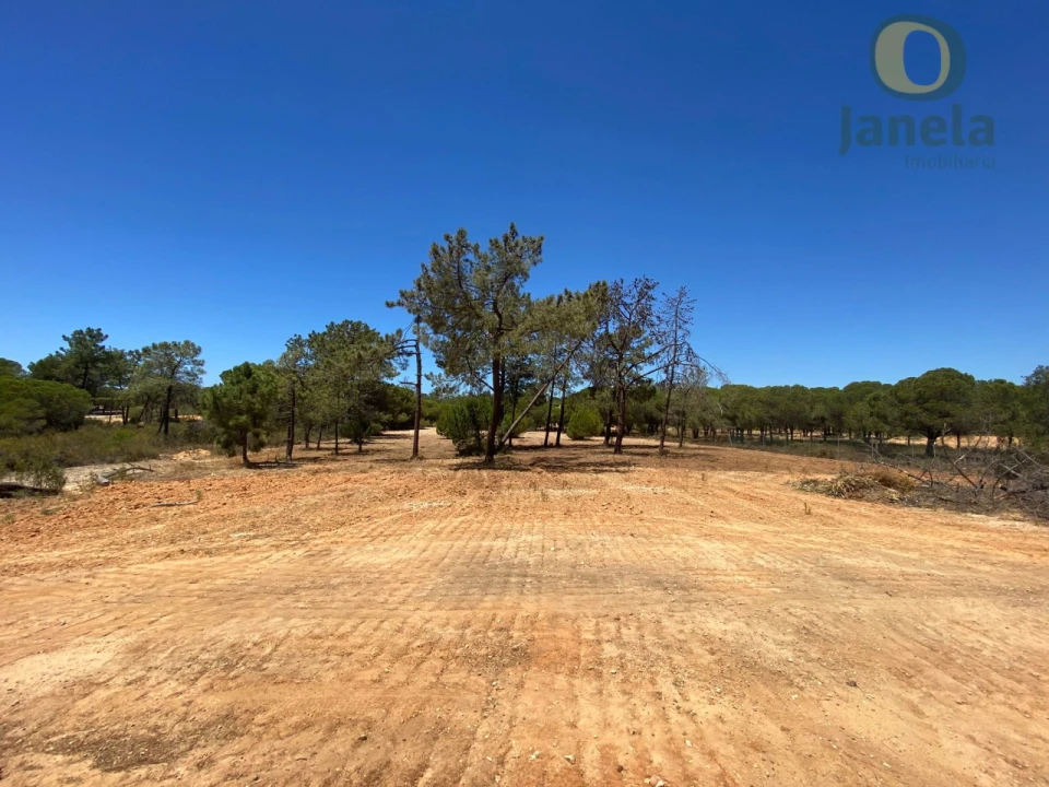 Terreno para Venda em Almancil Foto 2