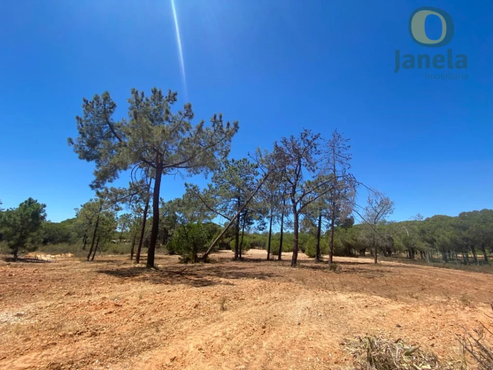 Terreno para Venda em Almancil Foto 1