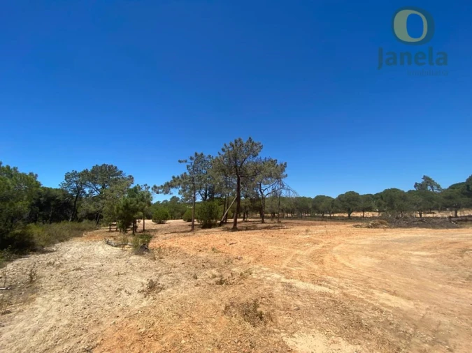 Terreno para Venda em Almancil Foto 3