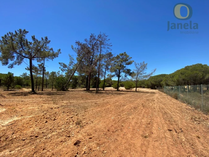 Terreno para Venda em Almancil Foto 5