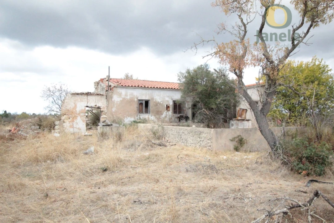 Terreno para Venda em Alcantarilha e Pêra Foto 2