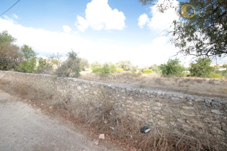 Terreno para Venda em Alcantarilha e Pêra Foto 4