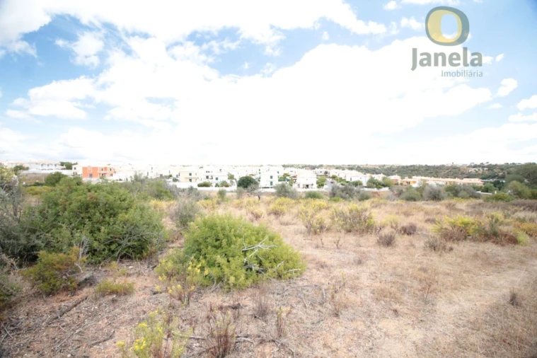 Terreno para Venda em Alcantarilha e Pêra Foto 5