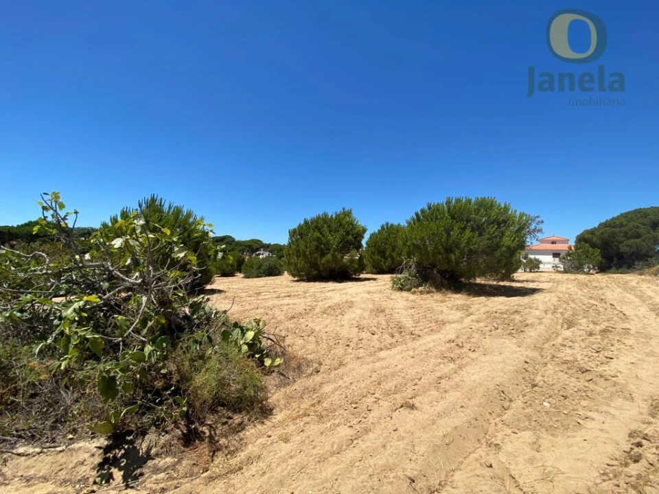 Terreno para Venda em Almancil Foto 5