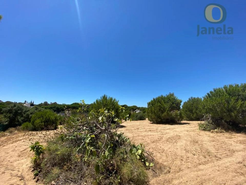 Terreno para Venda em Almancil Foto 6