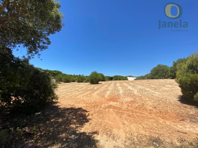 Terreno para Venda em Almancil Foto 3