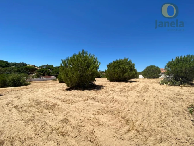 Terreno para Venda em Almancil Foto 4