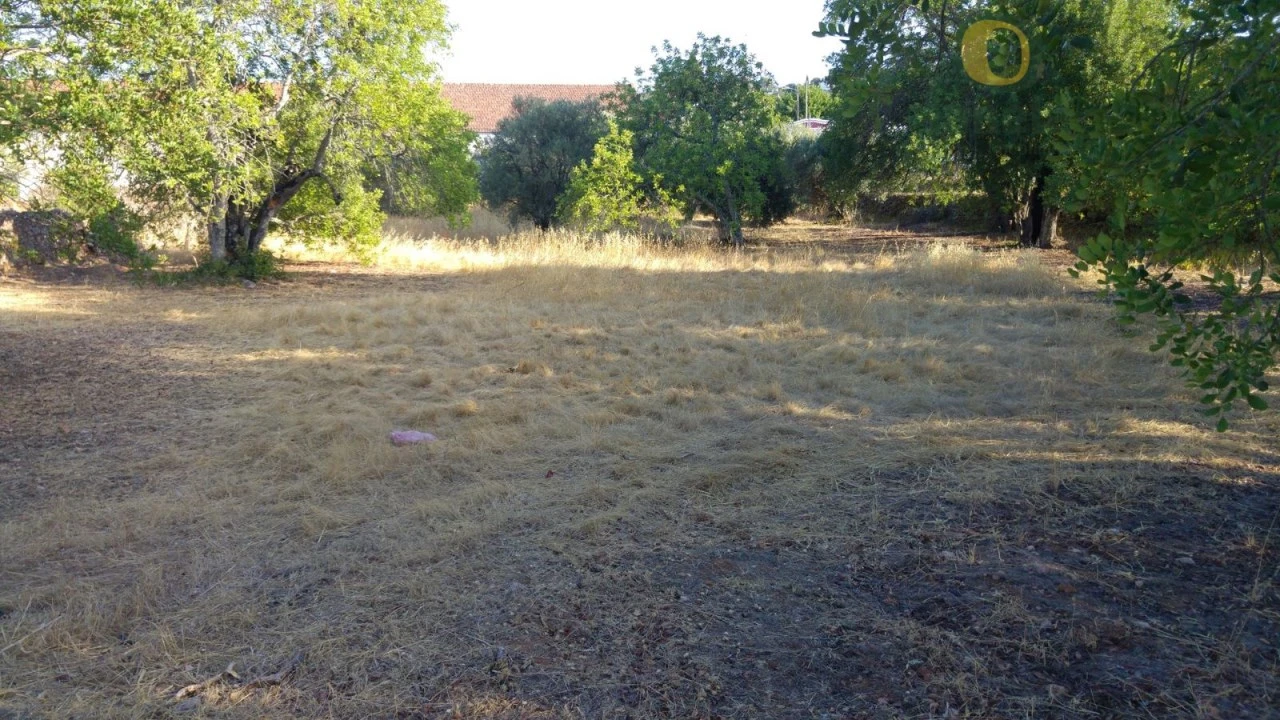 Terreno para Venda em São Brás de Alportel Foto 3
