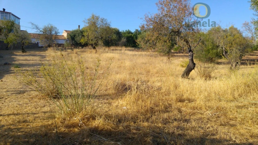 Terreno para Venda em São Brás de Alportel
