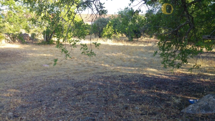 Terreno para Venda em São Brás de Alportel Foto 2