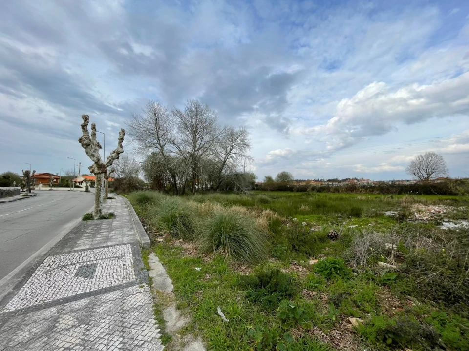 Terreno para Venda em Murtosa Foto 3