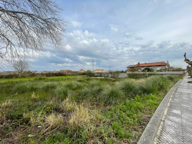 Terreno para Venda em Murtosa Foto 1