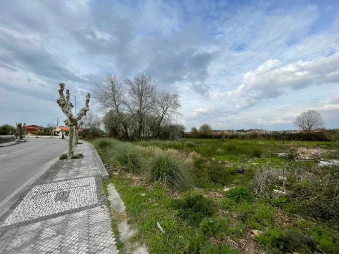 Terreno para Venda em Murtosa Foto 3