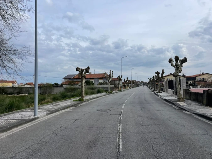 Terreno para Venda em Murtosa Foto 4