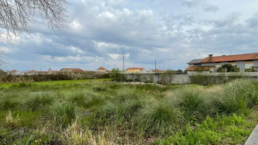 Terreno para Venda em Murtosa