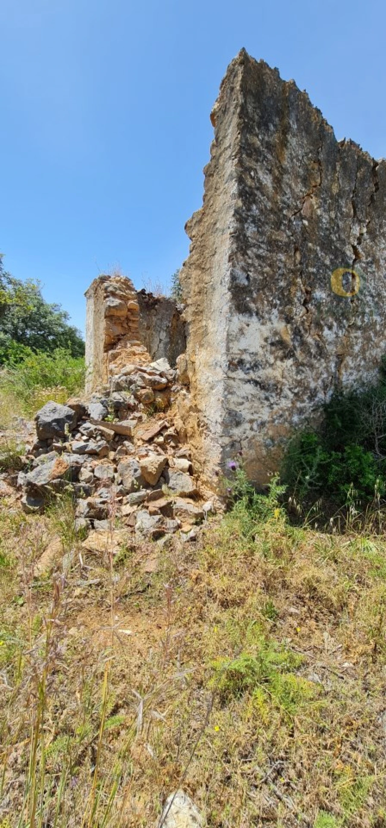 Terreno para Venda em São Brás de Alportel Foto 6