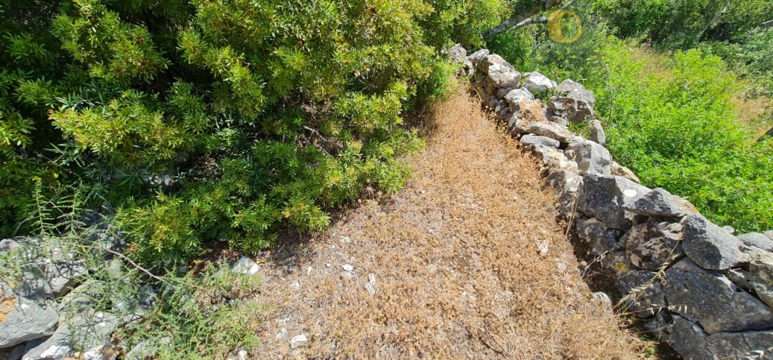 Terreno para Venda em São Brás de Alportel Foto 3