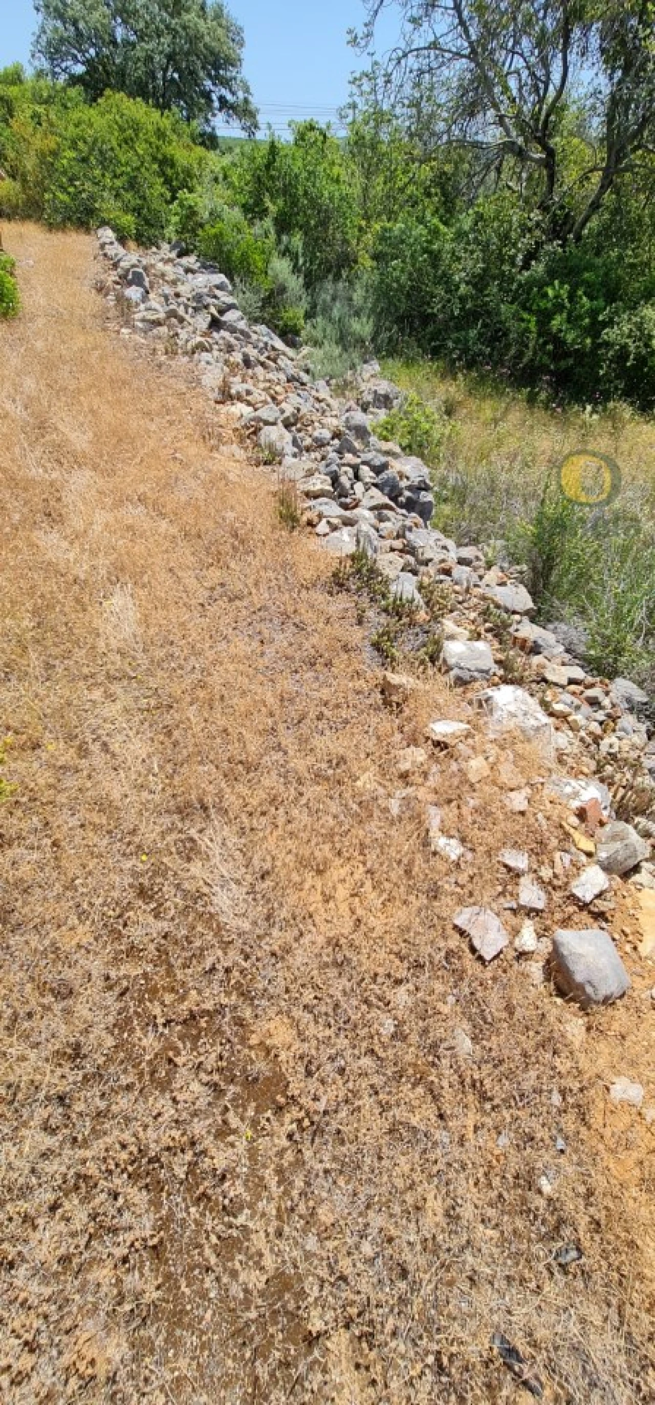 Terreno para Venda em São Brás de Alportel Foto 11