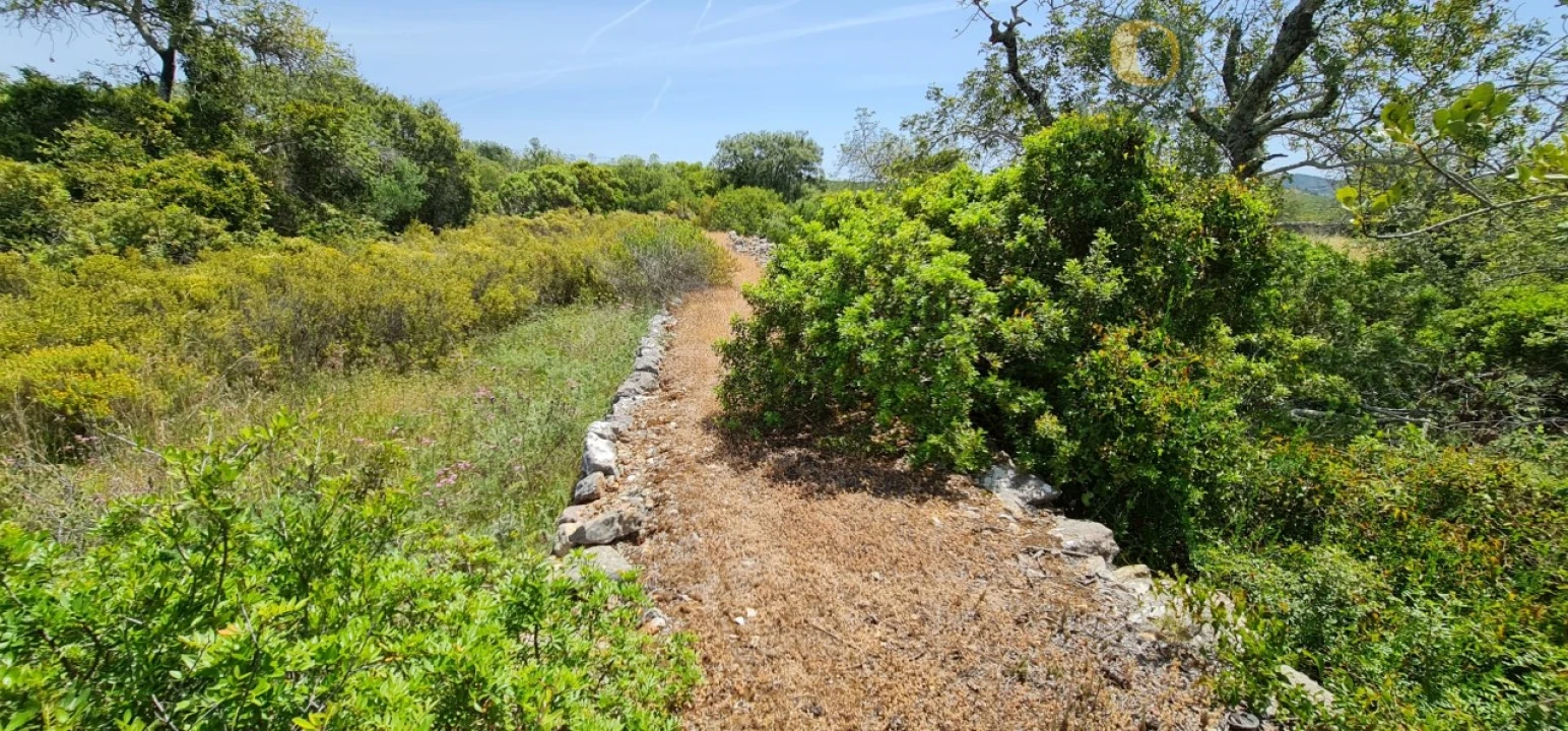 Terreno para Venda em São Brás de Alportel Foto 1