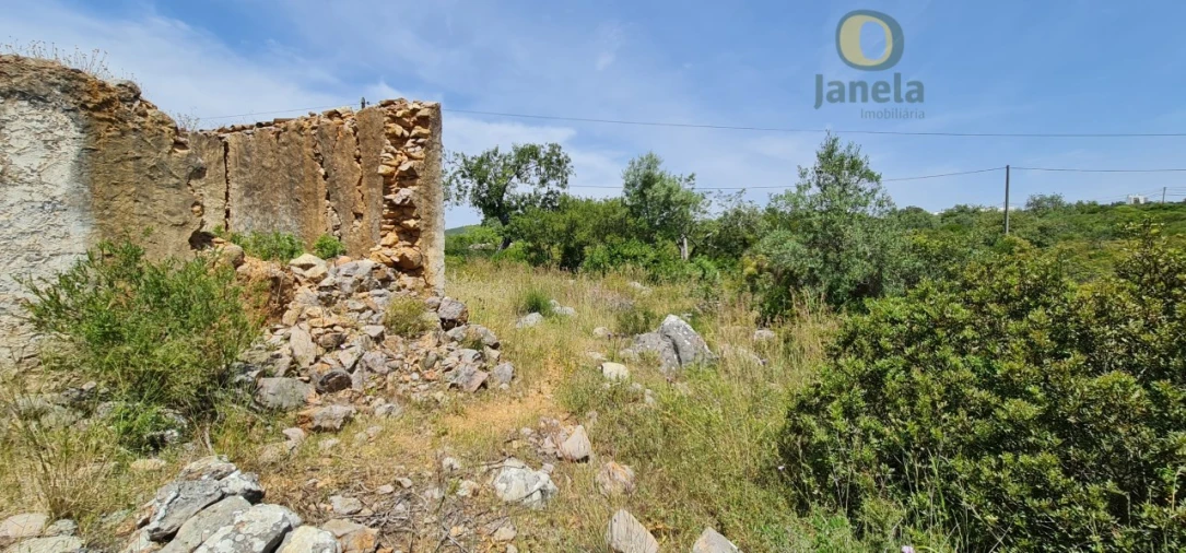 Terreno para Venda em São Brás de Alportel Foto 5