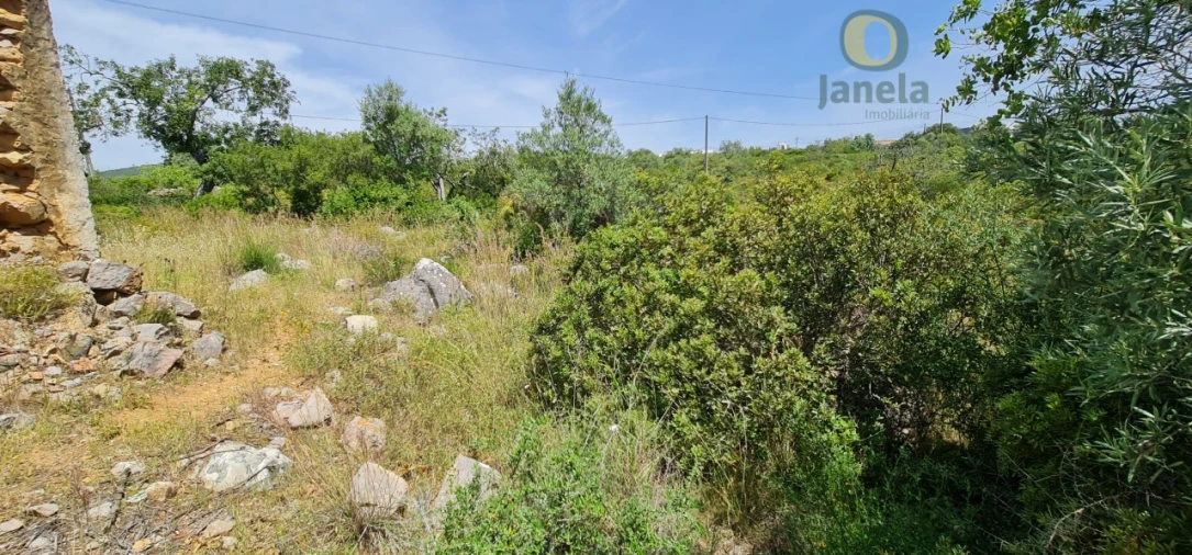 Terreno para Venda em São Brás de Alportel Foto 8