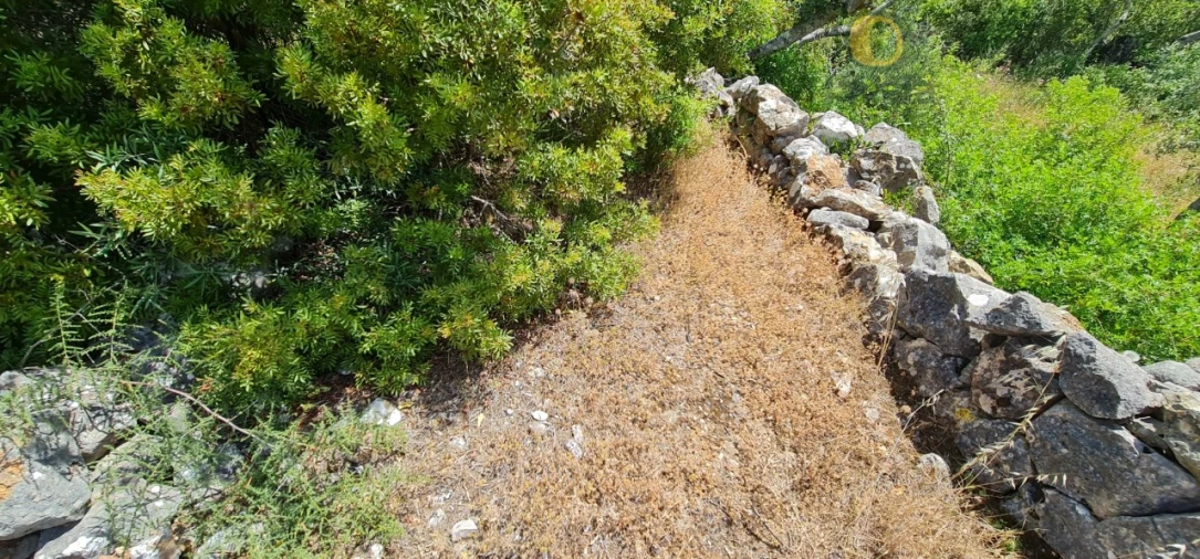 Terreno para Venda em São Brás de Alportel Foto 3