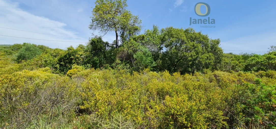 Terreno para Venda em São Brás de Alportel Foto 15