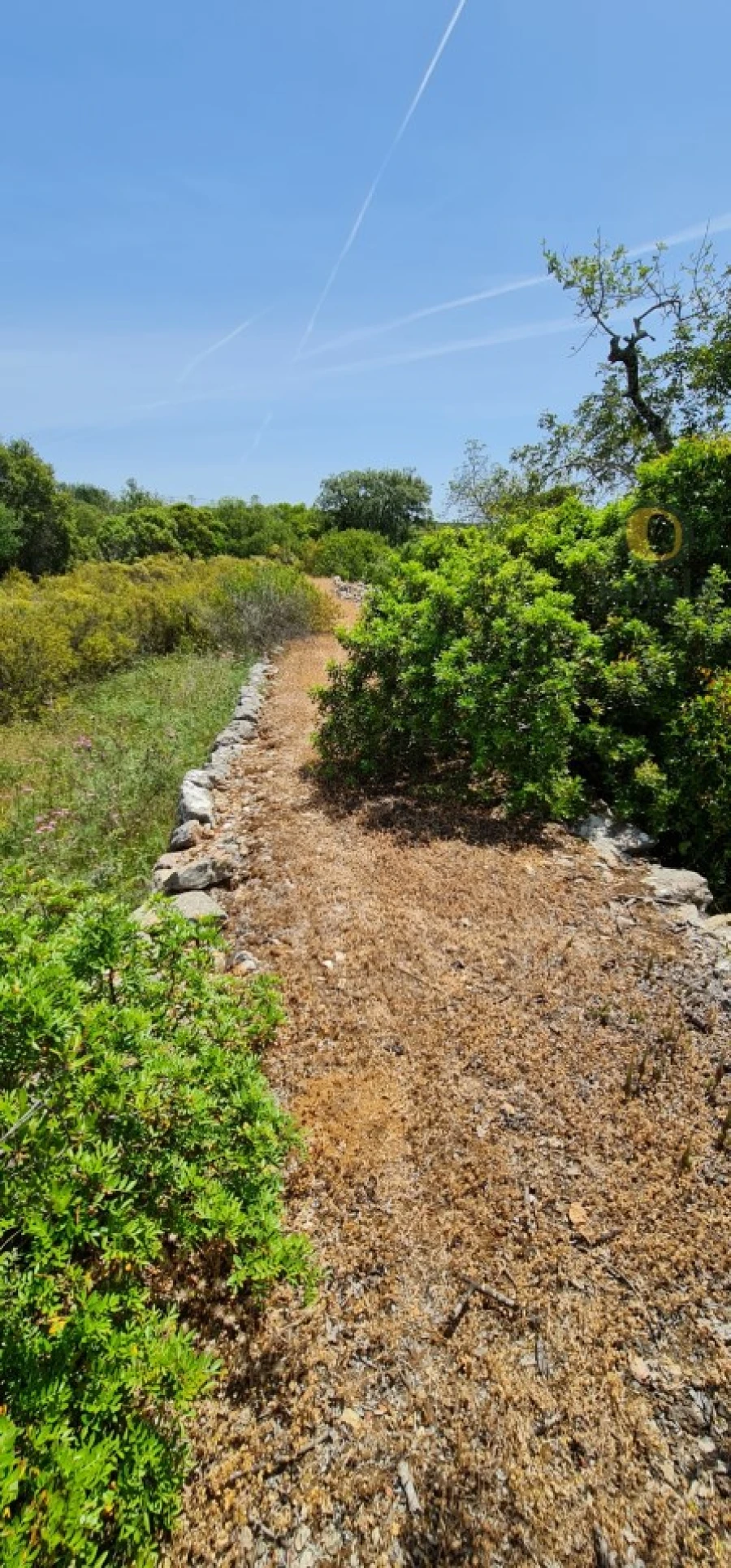 Terreno para Venda em São Brás de Alportel Foto 18