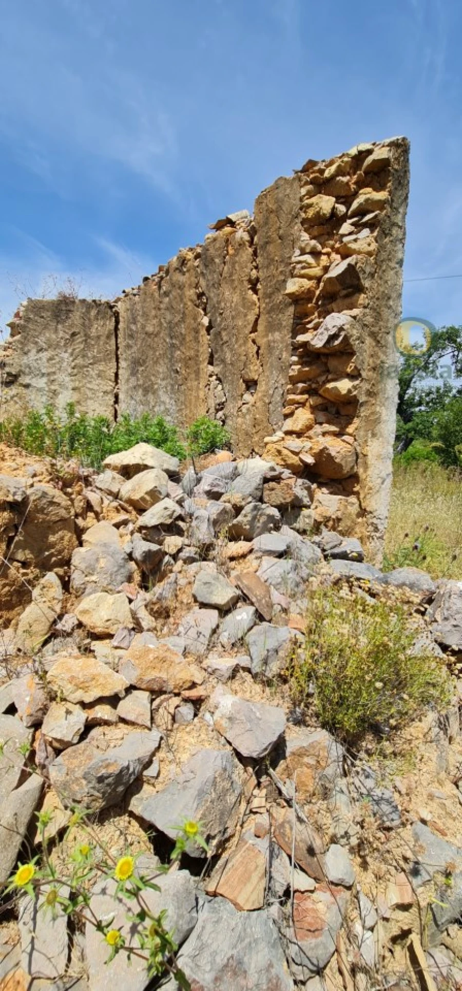 Terreno para Venda em São Brás de Alportel Foto 20