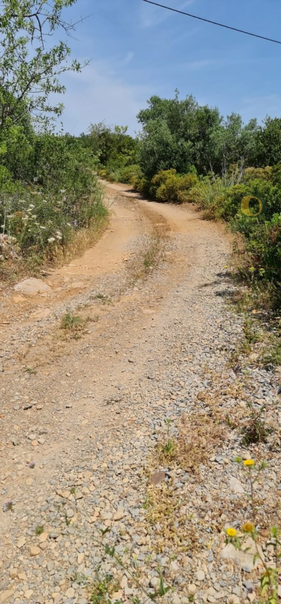 Terreno para Venda em São Brás de Alportel Foto 22