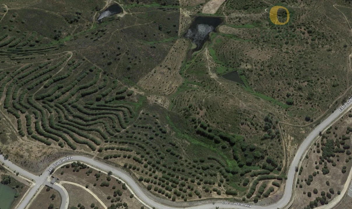 Terreno para Venda em Mexilhoeira Grande Foto 5