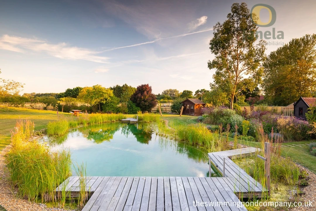 Terreno para Venda em São Brás de Alportel Foto 2