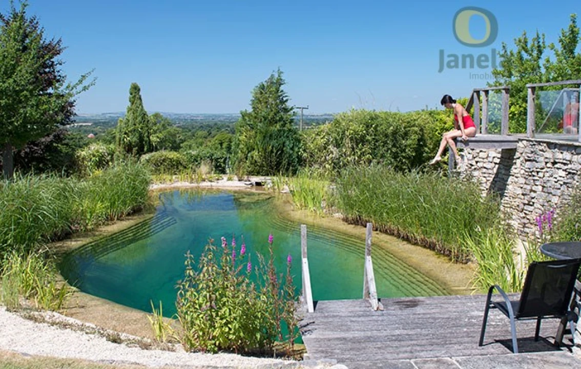 Terreno para Venda em São Brás de Alportel Foto 7
