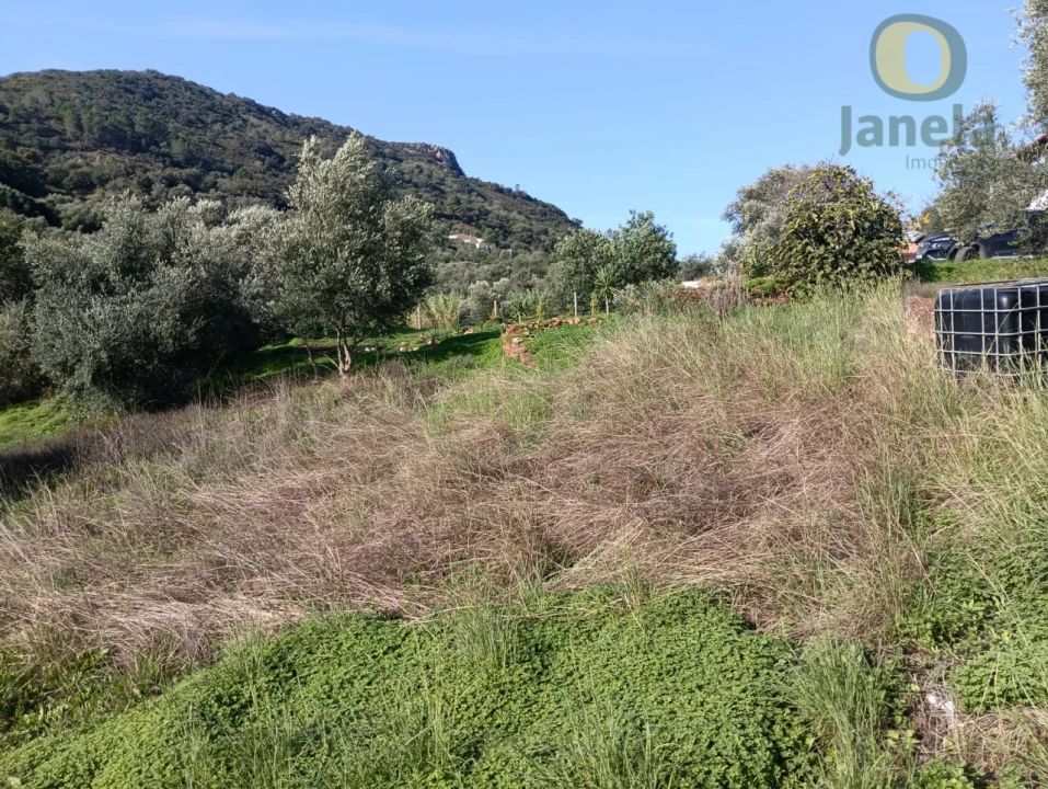 Terreno para Venda em Salir Foto 7
