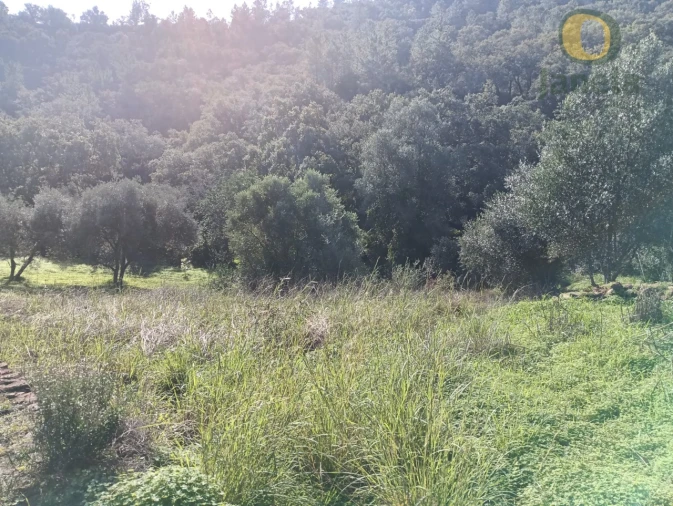 Terreno para Venda em Salir Foto 5