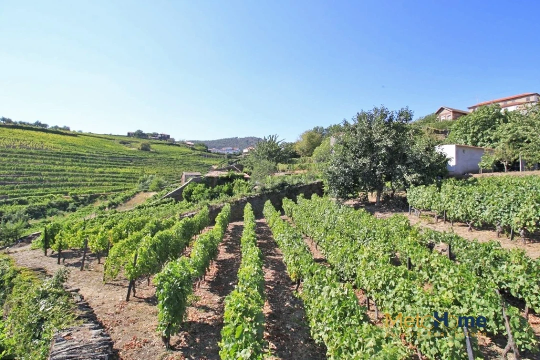 Terreno para Venda em Provesende, Gouvães Douro, São Cristóvão Douro Foto 2