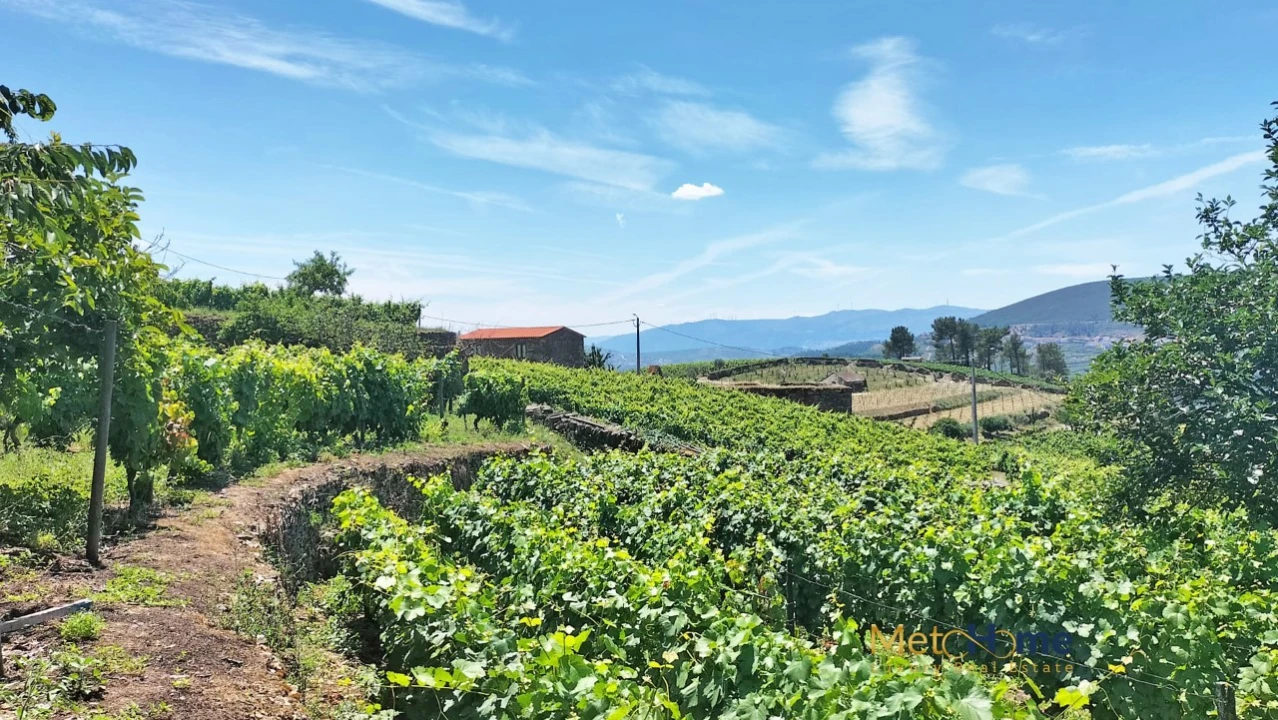 Terreno para Venda em Provesende, Gouvães Douro, São Cristóvão Douro Foto 5
