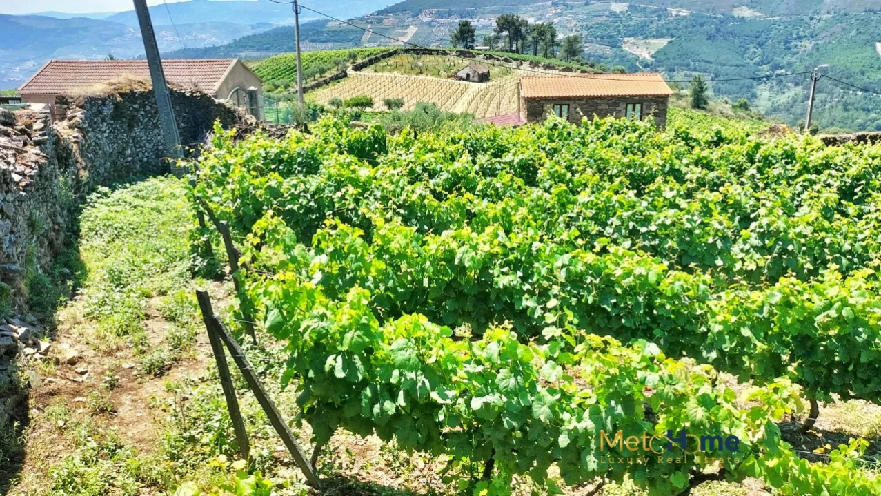 Terreno para Venda em Provesende, Gouvães Douro, São Cristóvão Douro Foto 10