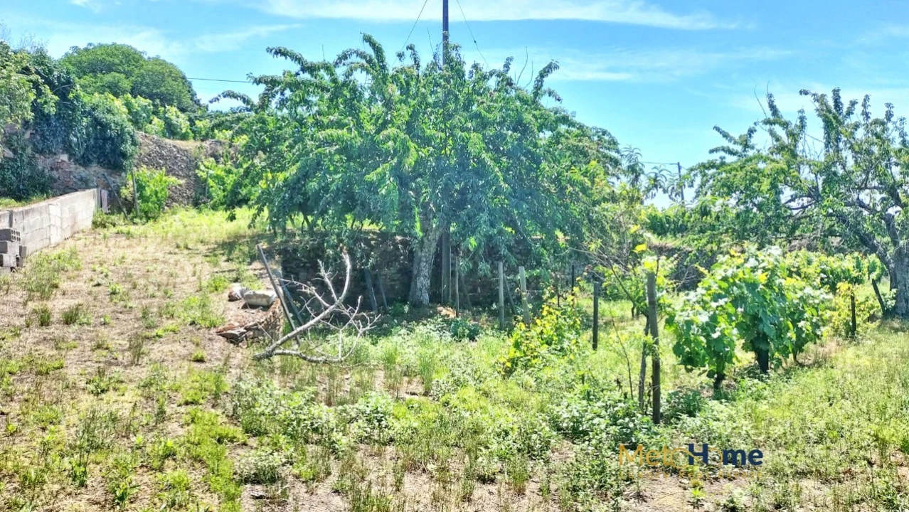 Terreno para Venda em Provesende, Gouvães Douro, São Cristóvão Douro Foto 12