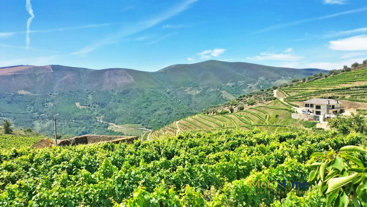 Terreno para Venda em Provesende, Gouvães Douro, São Cristóvão Douro Foto 13