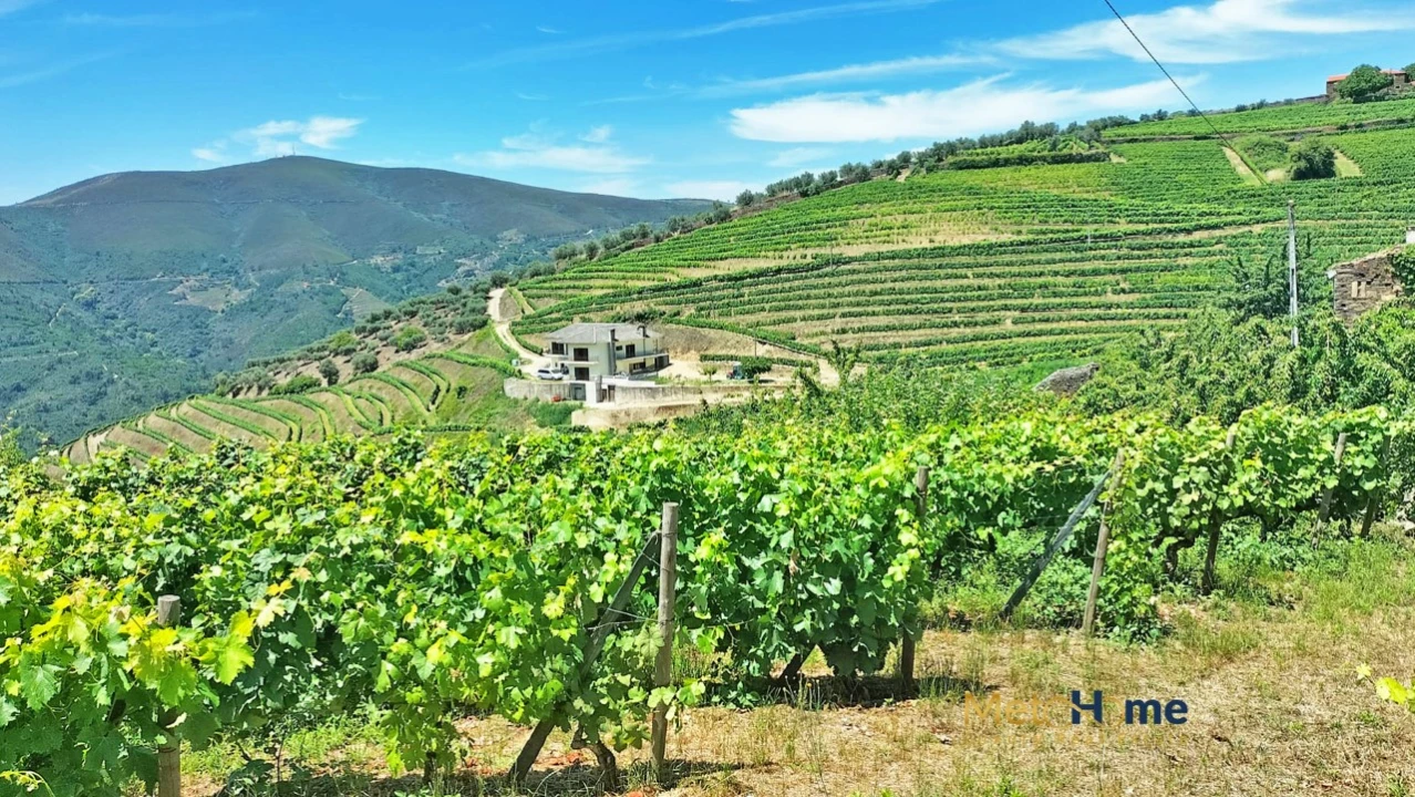 Terreno para Venda em Provesende, Gouvães Douro, São Cristóvão Douro Foto 14