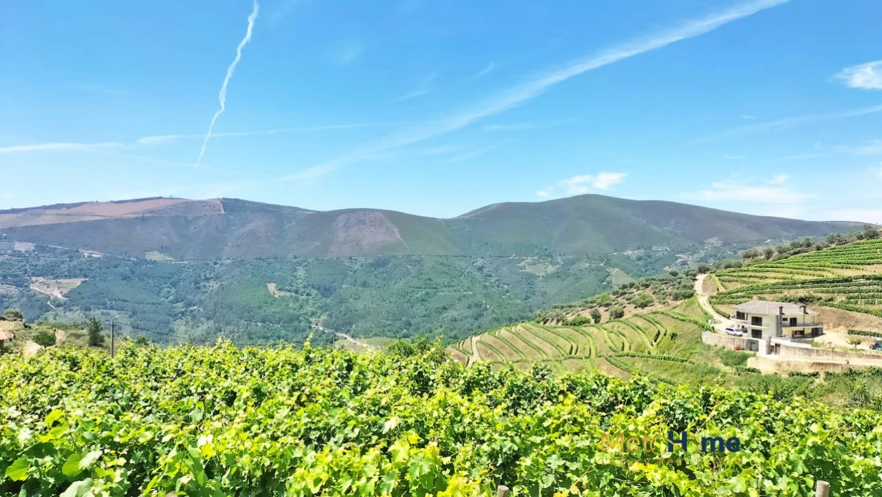 Terreno para Venda em Provesende, Gouvães Douro, São Cristóvão Douro Foto 18