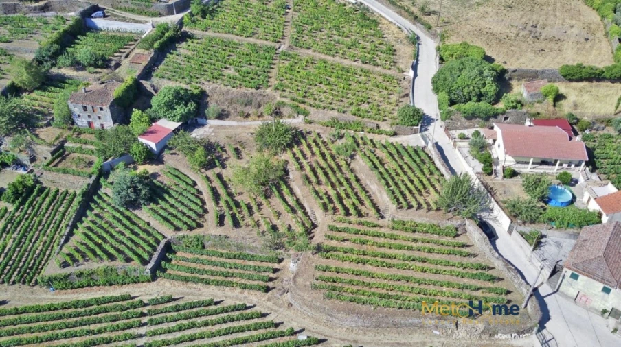 Terreno para Venda em Provesende, Gouvães Douro, São Cristóvão Douro Foto 1
