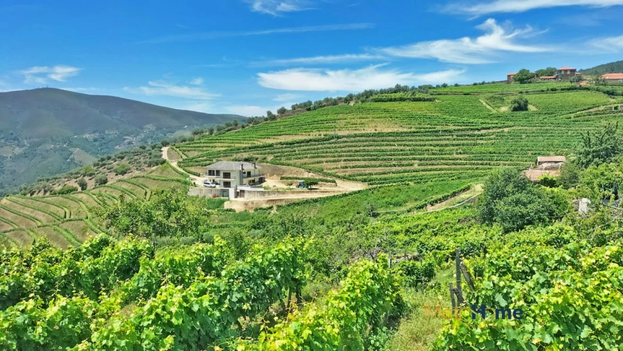 Terreno para Venda em Provesende, Gouvães Douro, São Cristóvão Douro Foto 9
