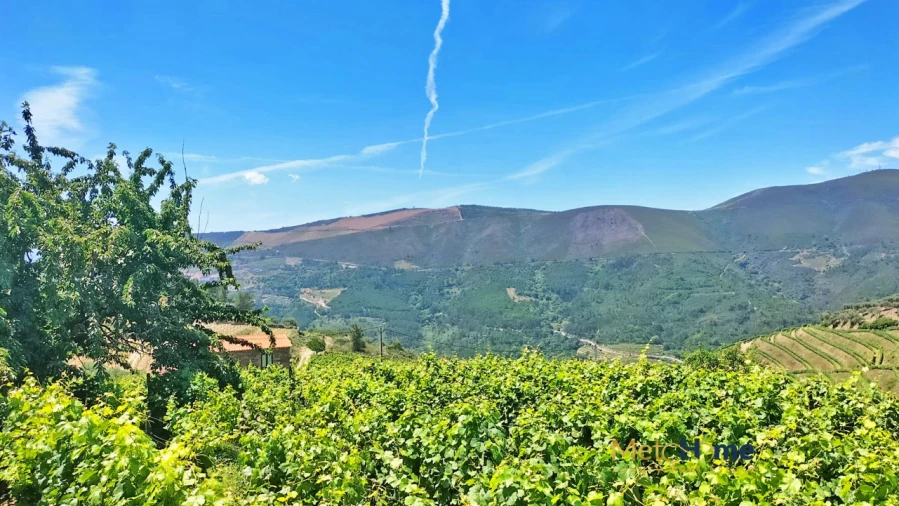Terreno para Venda em Provesende, Gouvães Douro, São Cristóvão Douro Foto 15