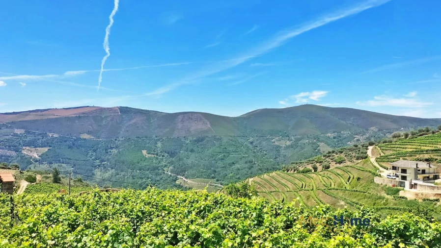 Terreno para Venda em Provesende, Gouvães Douro, São Cristóvão Douro Foto 16
