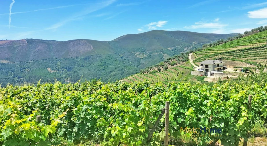 Terreno para Venda em Provesende, Gouvães Douro, São Cristóvão Douro Foto 17